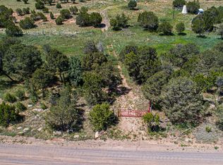36 Forest Rd #321, Estancia, NM 87016