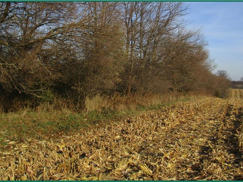 2nd image of 0 New Era Rd