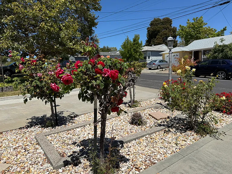 19227 Vaughn Ave — Photo 21