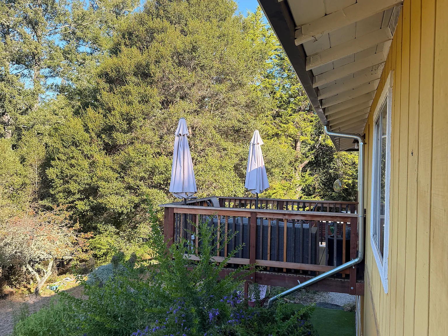 Junco Dr, Bonny Doon — Photo 4