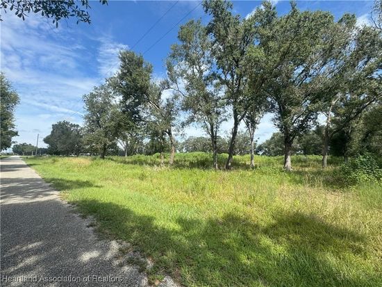 7114 Lily County Line Rd, Ona, FL 33865