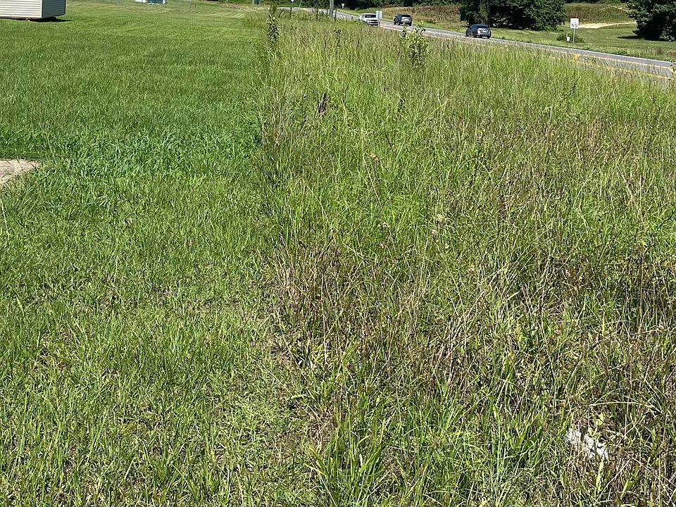 Car Lot In Snow Hill Nc at Ronald Baca blog
