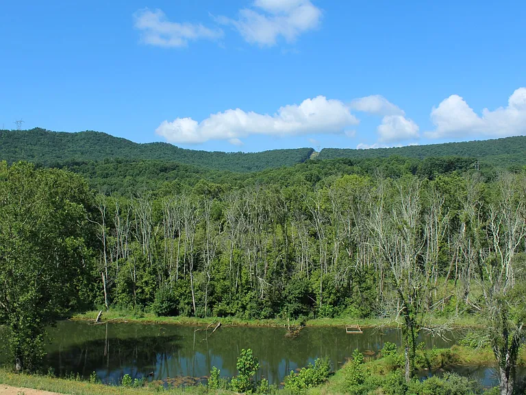 The Reserve at Daleville — Photo 24