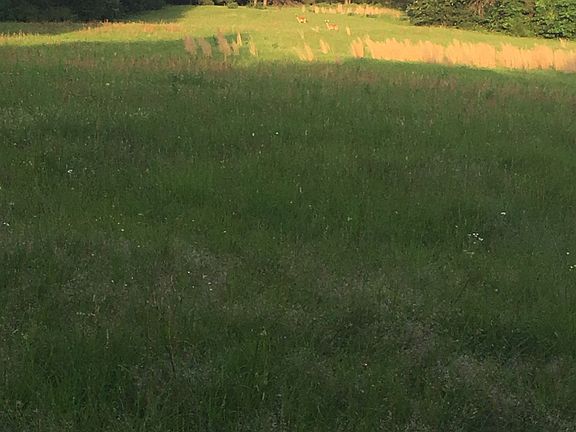 3rd image of 157 County Road 4661