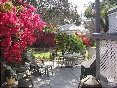 Patio in Rear