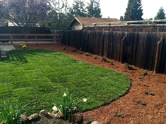 Back yard and fenced dog run