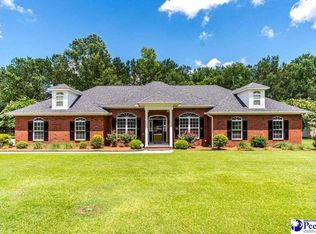 1324 McKenzie Rd, Manning, SC 29102