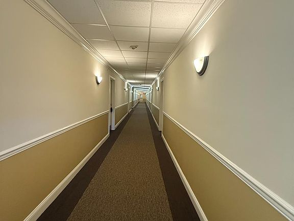 4th image of 31 Liddle Ave