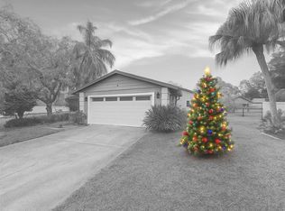 643 Satinleaf Ave, Oldsmar, FL 34677