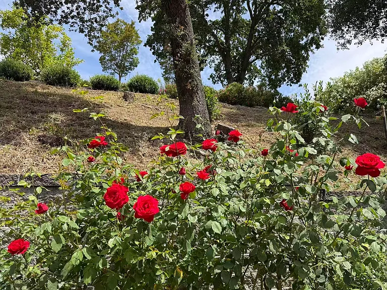 3560 Old Mountain View Dr — Photo 1