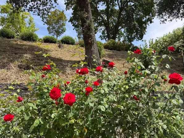 3560 Old Mountain View Dr, Lafayette, CA 94549