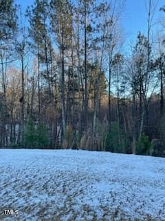 2nd image of 538 Lionheart Ln