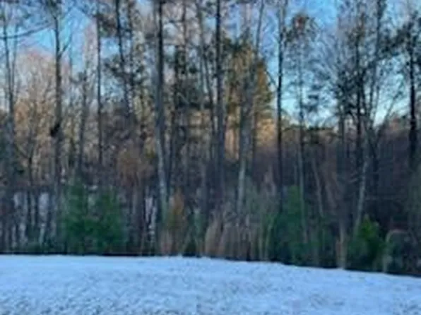 538 Lionheart Ln, Sanford, NC 27330