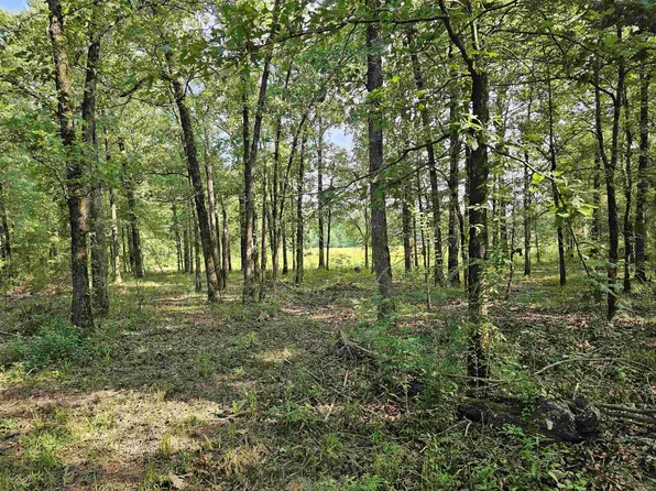 170 Stout Rd, Gillham, AR 71841