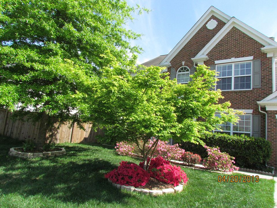 Front yard in spring