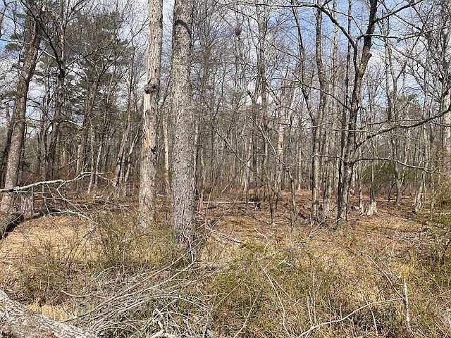 2nd image of LOT 204 Big Oak Rd