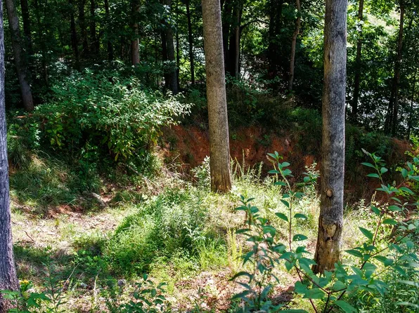 9999 Kimberly Ln Lot 9, Franklin, NC 28734