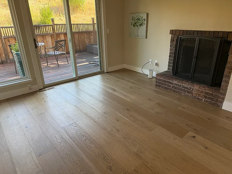 Family room or Office with Fireplace & ceiling fan