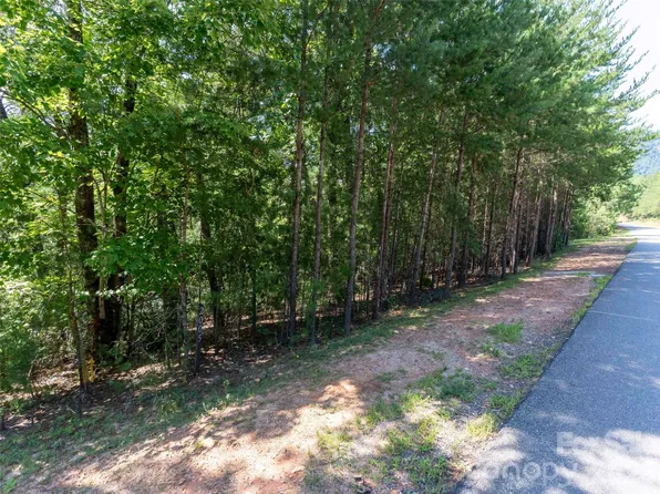 2006 Deep Gap Farm Rd W, Mill Spring, NC 28756
