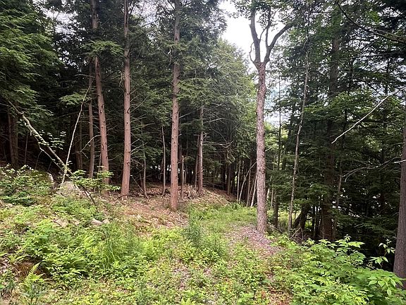 3rd image of 1149 Golden Beach Rd