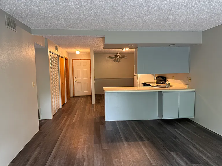 View from Living area into Kitchen