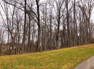 LOT 113 Clifton Ridge Rd, Abingdon, VA 24211