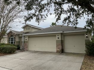 6226 Bridgevista Dr, Lithia, FL 33547
