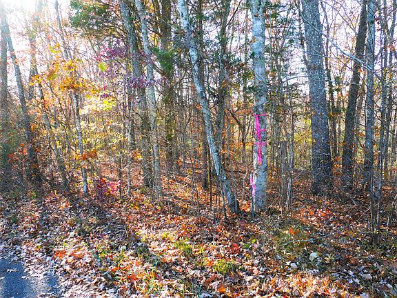 2nd image of 501 Cawthorn Cemetery Rd