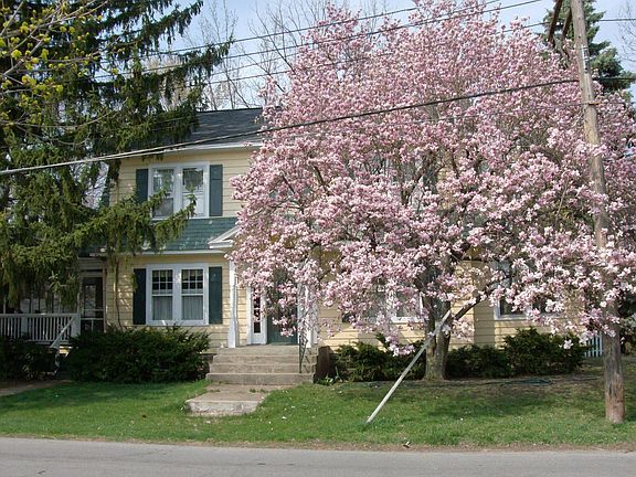 Plum Street View 2