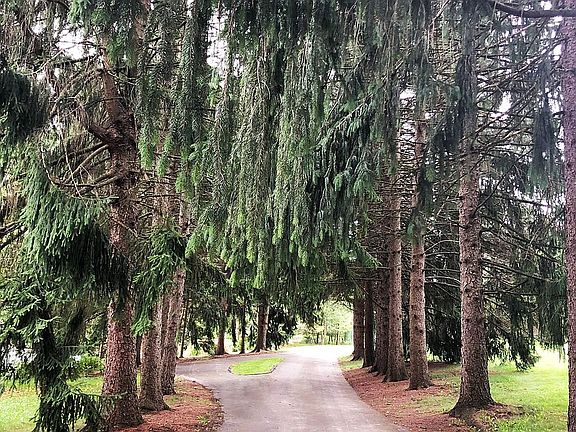Entrance Drive