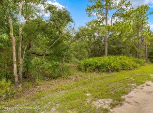 0 Marsh Owl Ave, Brooksville, FL 34614