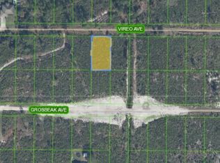 242 Vireo Ave, Sebring, FL 33870