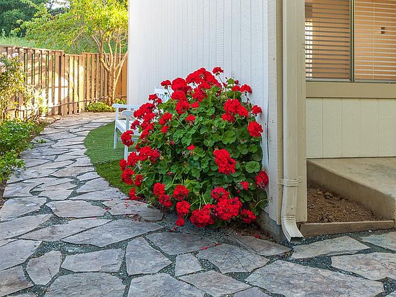Rustic path to rear yard