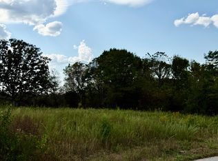 1002 Dys Dr, Cabool, MO 65689