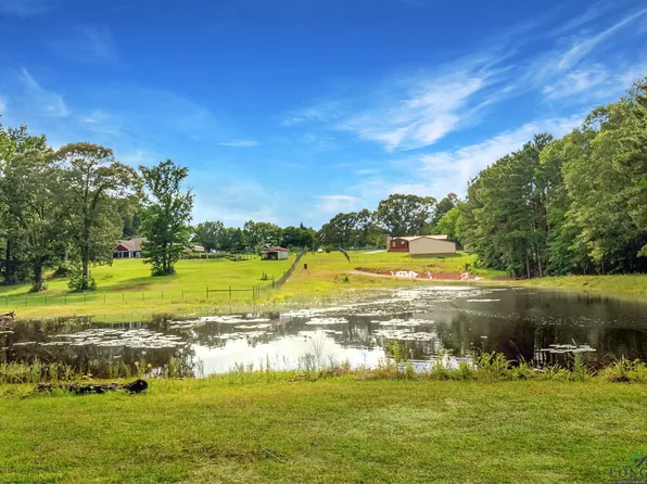 14384 N County Road 2125, Henderson, TX 75652