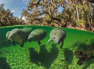 4118 S Brian Point, Homosassa, FL 34446