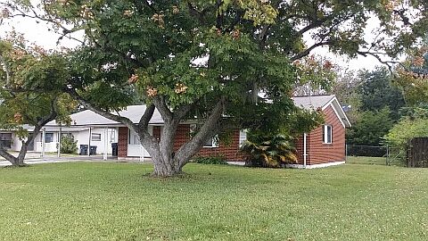4th image of 491 Fern Ave