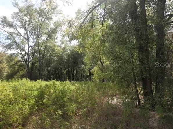 8776 SW 139th Place Rd Lot 5, Ocala, FL 34473