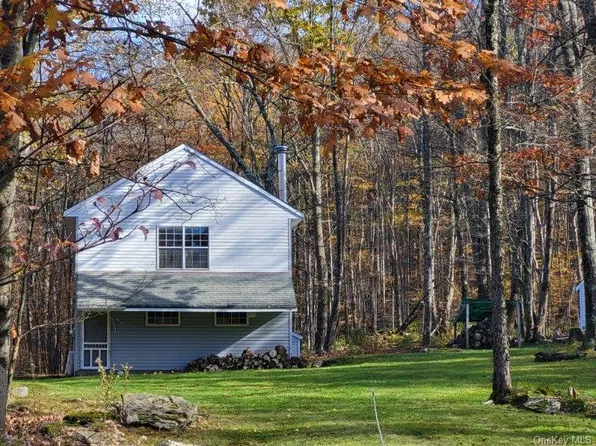 1756 Fuller Hill Road, Downsville, NY 13755