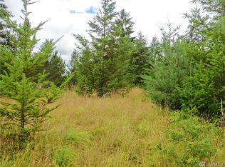 0 Satsop Riviera Lp, Elma, WA 98541