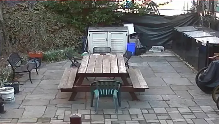 Rented by Jack B Shapiro | media 15