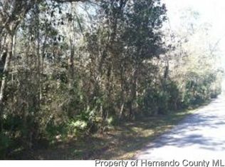 11376 Chalk Farm Rd, Spring Hill, FL 34609