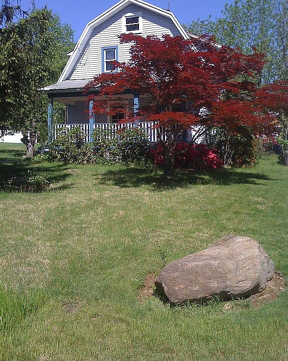 Front Yard