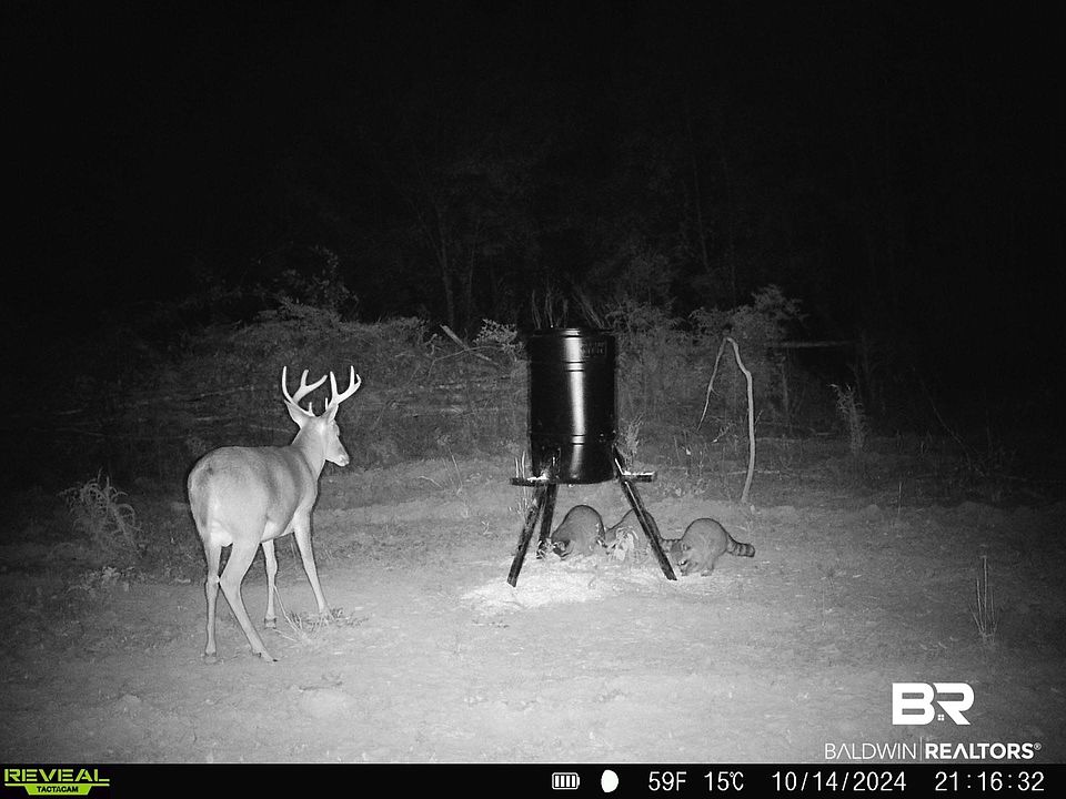 1st image of 33950 Highway 41