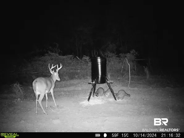 33950 Highway 41, Repton, AL 36475