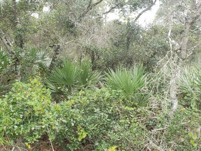 2325 94th Avenue, Vero Beach, FL, 32966