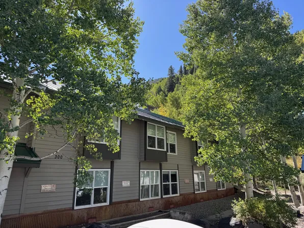 333 S Davis St #315 & 317, Telluride, CO 81435
