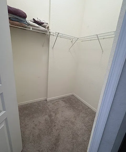 17104 Carrington Park Dr #523 — Photo 7