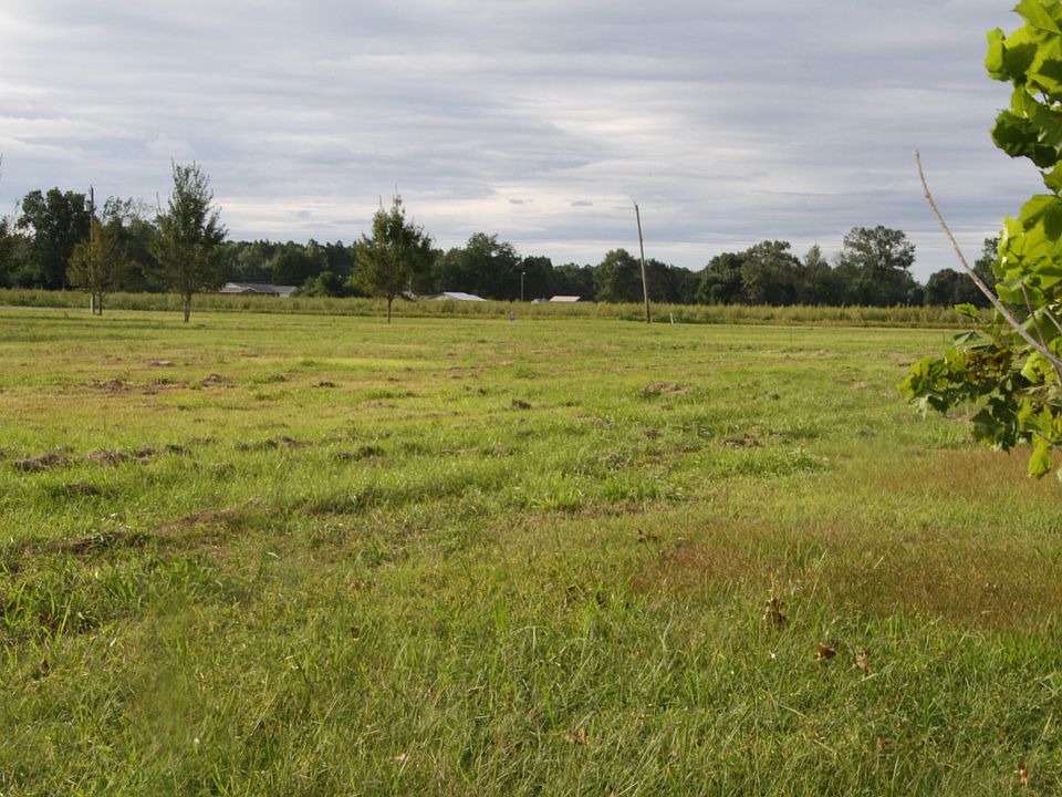 2nd image of 0 Archey Ln