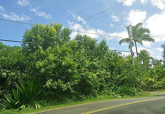 5th image of Kalapana Beach Hvn